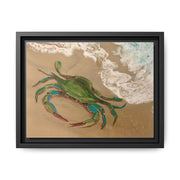 Coastal CrabFramed Crab Canvas Art